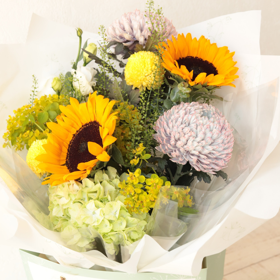 Suns Blooms