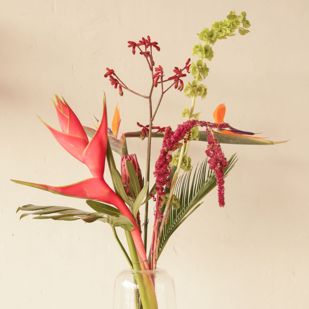 Floral Delight