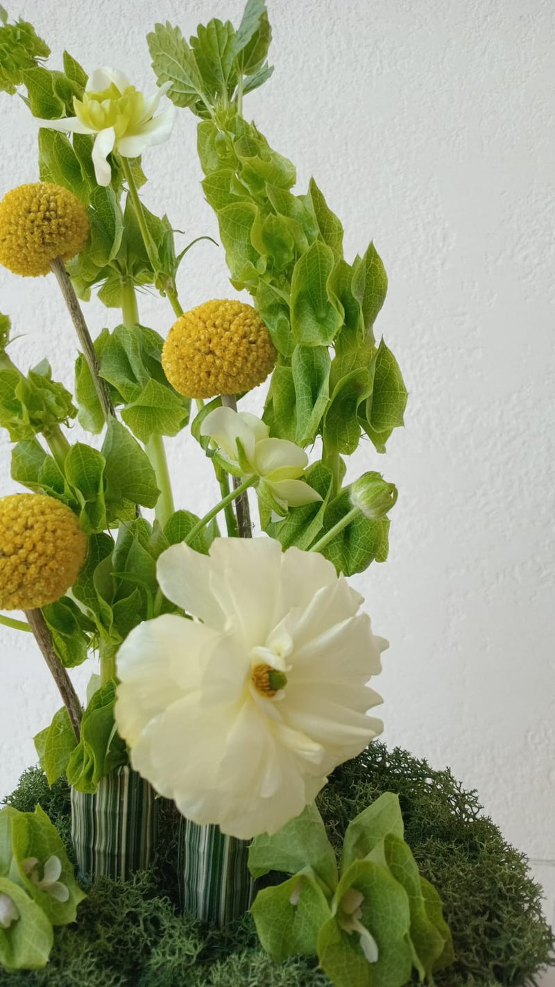 Yellow Eden