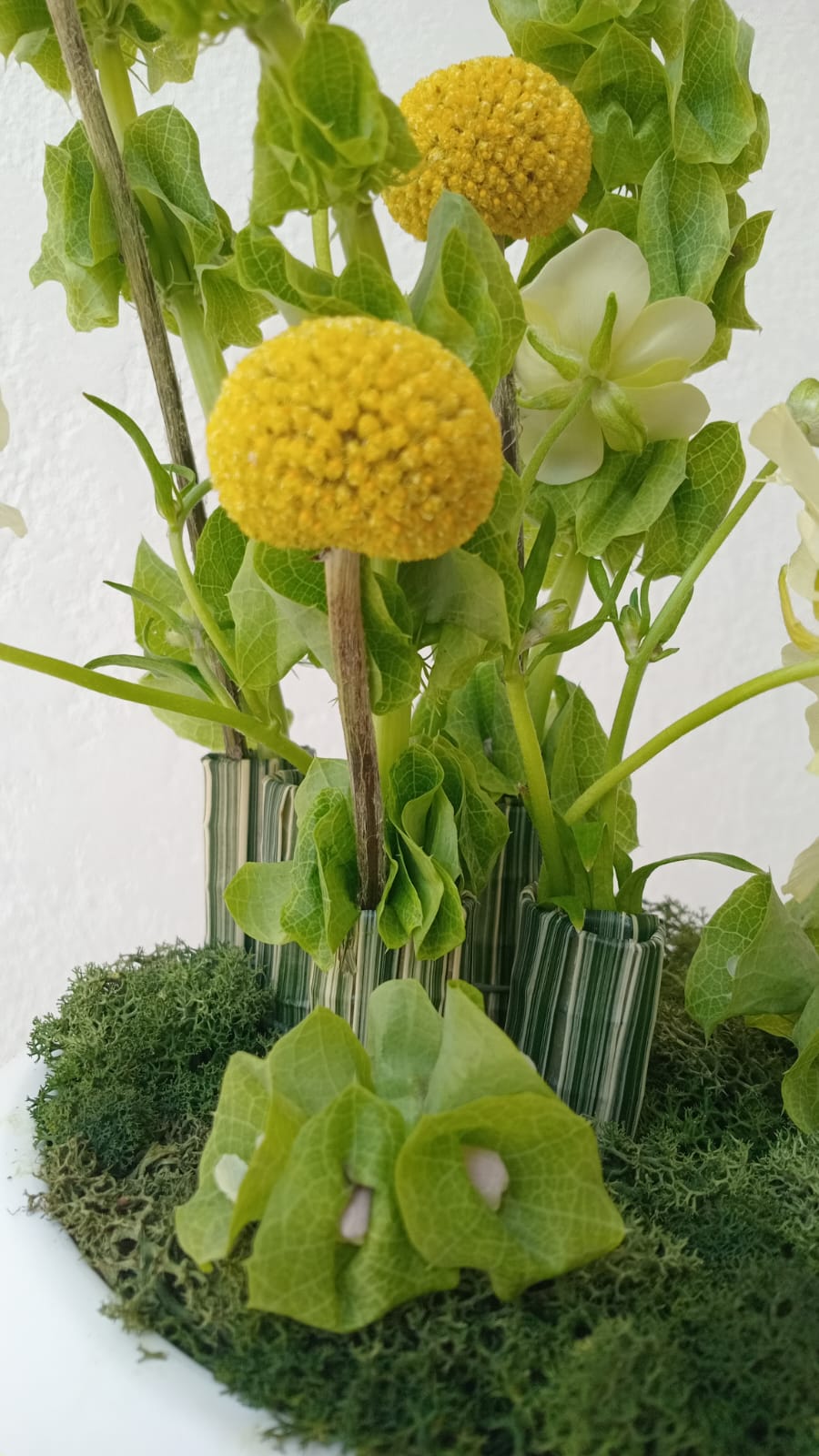 Yellow Eden