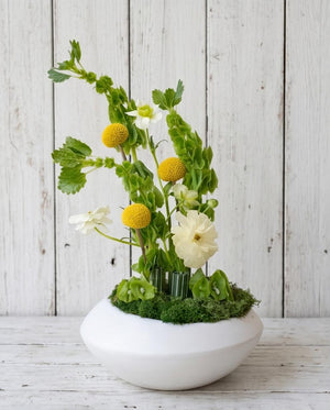 Yellow Eden